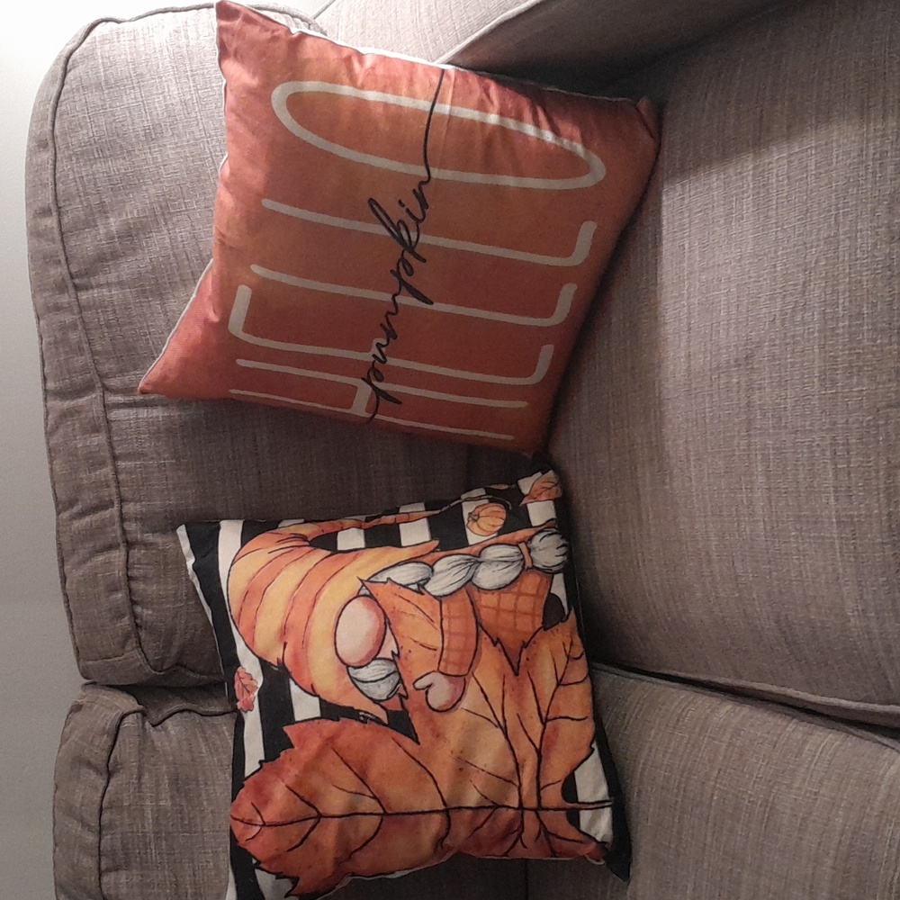 2 Fall Accent Pillows